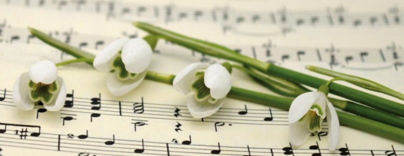Music is Meditation (Monthly Series)